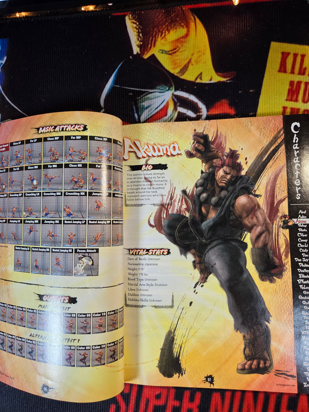 SUPER STREET FIGHTER IV-STRATEGY GUIDE